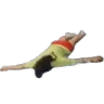 deadlivia