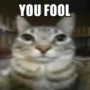 youfoolcat Discord Emoji