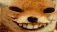 foxdding foxdding