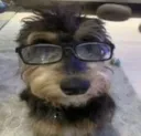 Unnamed_Emote Unnamed_Emote