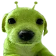 Glerp