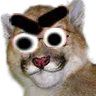 cassifurieux
