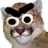 :cassifurieux: cassifurieux