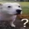 __