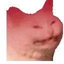 cattorage