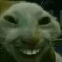 xdd