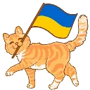 BB_UkraineCatKittyFlag