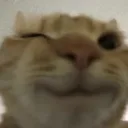 cbed47f5813eb04359c6b032a6f4b17d