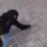 hug_monkey
