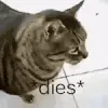 catdies