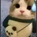 cathm