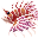 lionFish