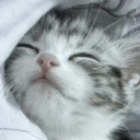 sleep Discord sticker from {рп}~ДуРкА~{рп}