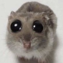 sorry Discord Emoji - {рп}~ДуРкА~{рп}