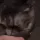XCatTrauma