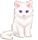 cat_kitten_cute_gif