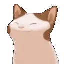 popCat