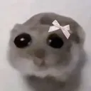 kjutijs