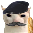 bruhcatfrance bruhcatfrance