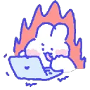 bunnytype