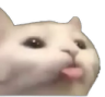 P_