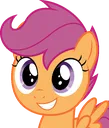 scootsmile scootsmile