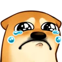 bogSad