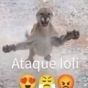 Ataqeloli