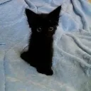 sit
