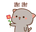 CatFlower