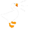 honk honk