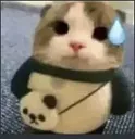 hmmm