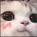 __