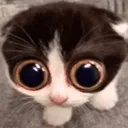 monkaa monkaa