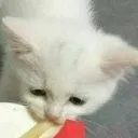 Nom