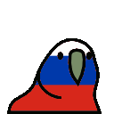 russia_parrot