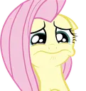 fluttershy