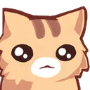cat_blank_stare