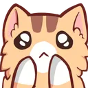 cat_pleading