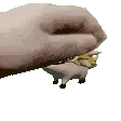 pat