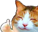 thumbsuphappy