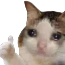 thumbsupsad