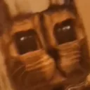 Minecraft Cat Discord Emoji