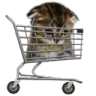 sadcart