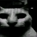 scarycat