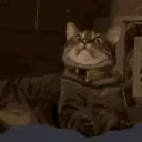 p_bewildered