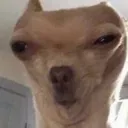 u4r4r4r u4r4r4r