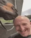 baldlick