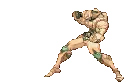 punchshower