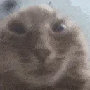 ong
